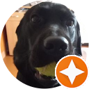 concetta cattareggia